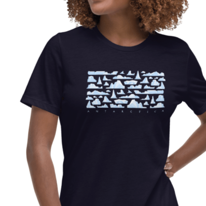 ANTARCTICA ICEBERGS T-Shirt (WOMENS)