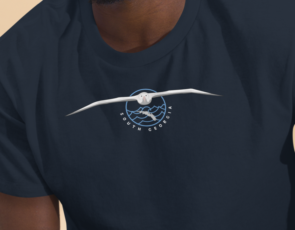 SOUTH GEORGIA Wandering Albatross